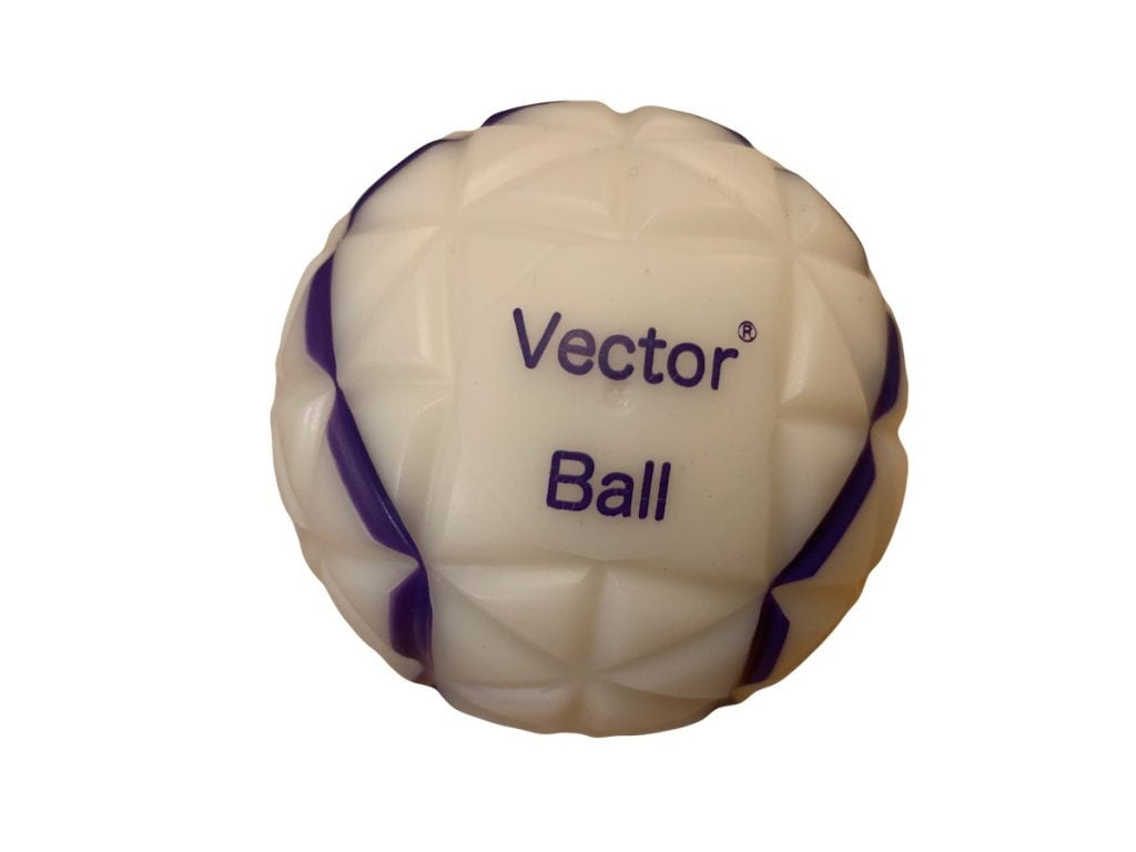 vectorball-2023-model