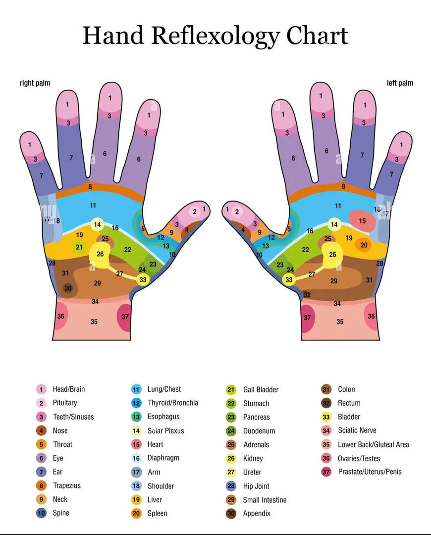 Hand reflexology chart mapping body parts to hand areas.