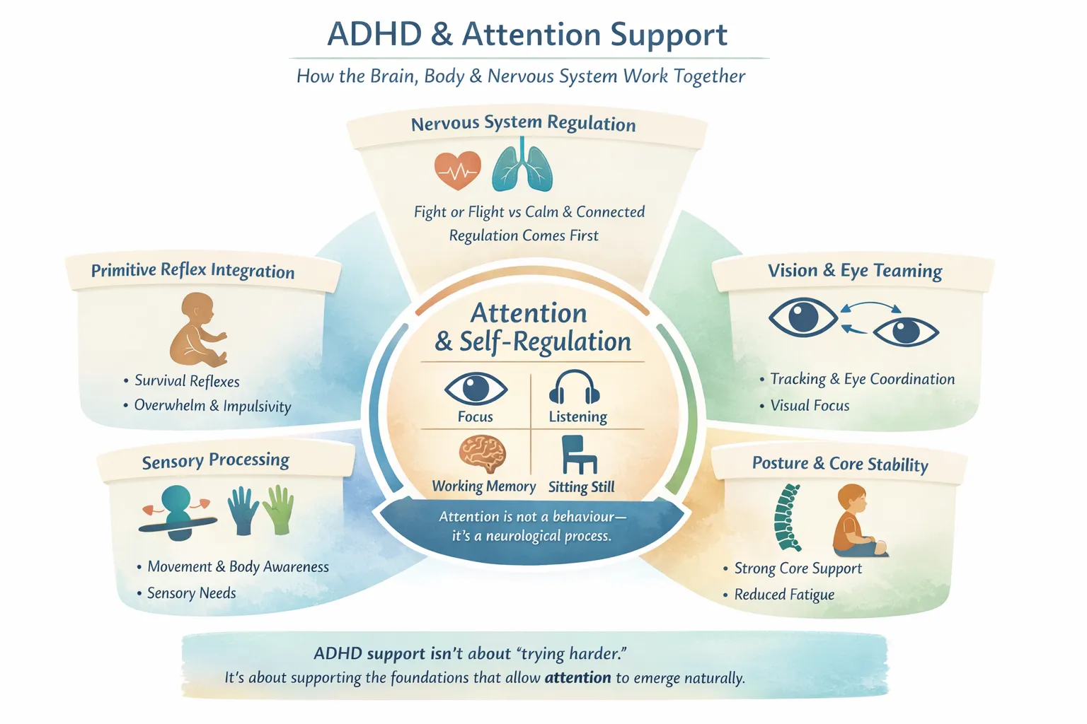 ADHD support through brain, body, and nervous system integration.